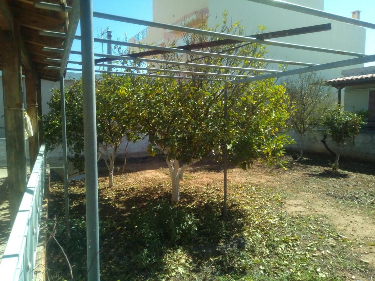 Vangelis House Near Athens Airport Ártemida Kültér fotó
