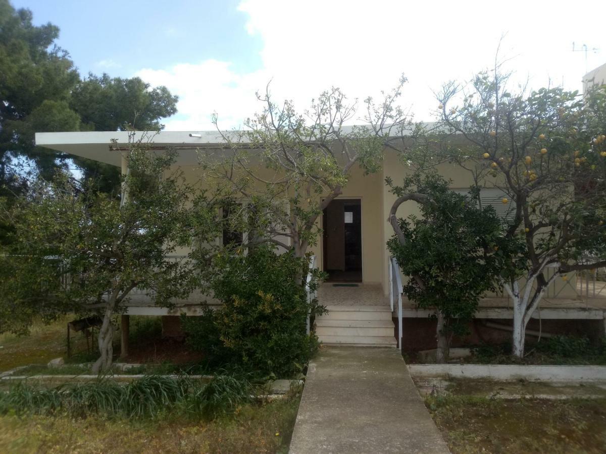 Vangelis House Near Athens Airport Ártemida Kültér fotó