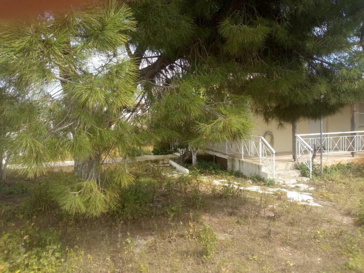 Vangelis House Near Athens Airport Ártemida Kültér fotó